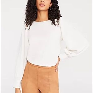 Ann Taylor Cinched Shoulder Top
